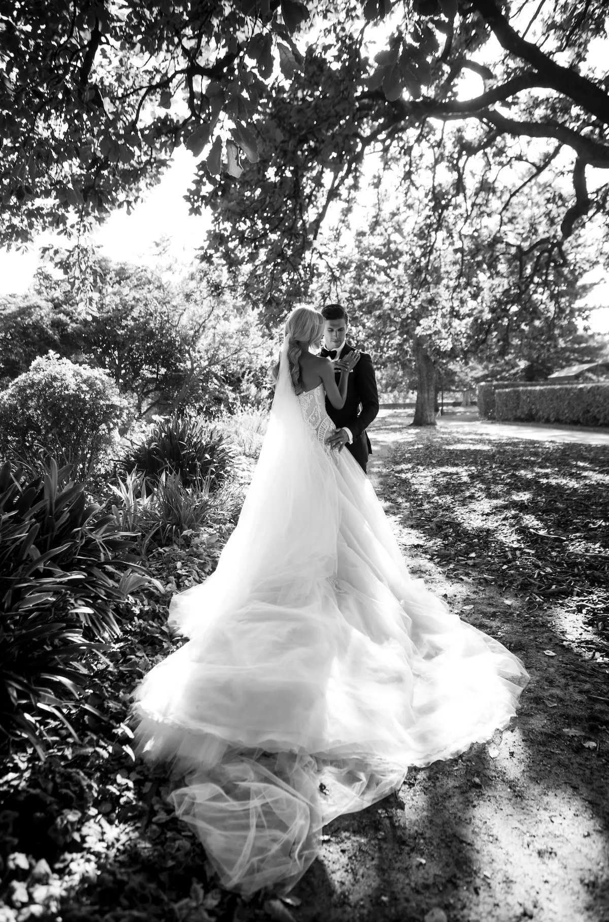 Bride and groom beneath a magnolia, her tulle train spread across the path — black-and-white wedding photography in Melbourne